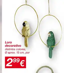 KIK Loro decorativo oferta