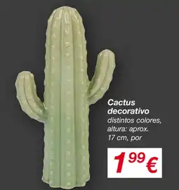 KIK Cactus decorativo oferta