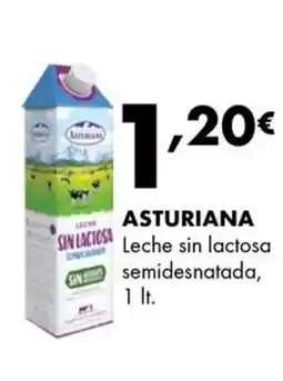 Supermercados Lupa ASTURIANA Leche sin lactosa semidesnatada oferta