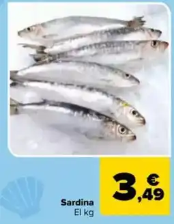 Carrefour Sardina oferta