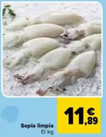 Carrefour Sepia limpia oferta