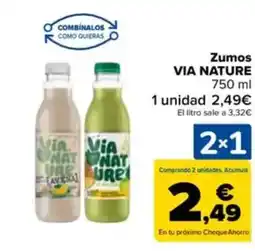 Carrefour VIA NATURE Zumos oferta
