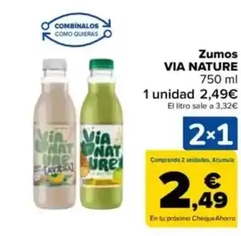 Carrefour VIA NATURE Zumos oferta