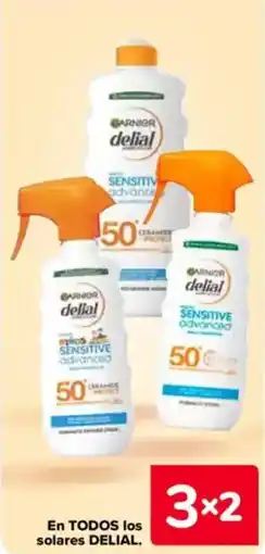 Carrefour DELIAL En todos los solares oferta