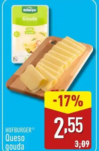 ALDI HOFBURGER Queso gouda oferta