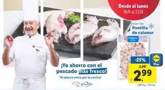 Lidl OCEAN SEA Puntilla de calamar oferta