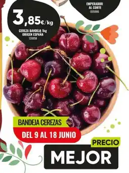 Family Cash Cereza bandeja oferta