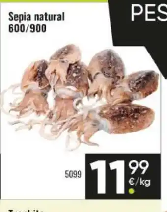 Family Cash Sepia natural oferta