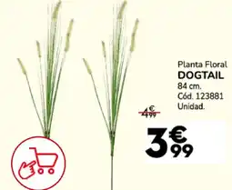 Conforama Dogtail planta floral oferta