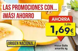 FROIZ Melón Bollo amarillo oferta