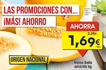 FROIZ Melón Bollo amarillo oferta