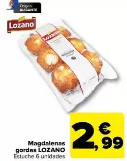 Carrefour Origen - magdalenas gordas oferta
