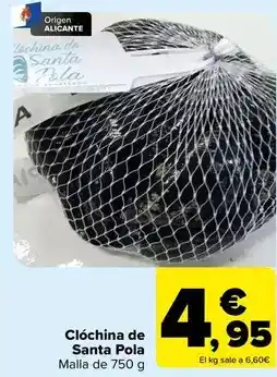 Carrefour Origen - clóchina de santa pola oferta