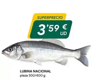 Masymas Lubina nacional oferta