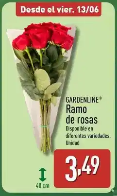 ALDI Gardenline - ramo de rosas oferta