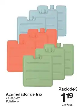 Zeeman Acumulador de frío 7x8x1,5 cm. oferta