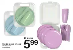 Zeeman Set de picnic en caja 24x26x9,5 cm. oferta