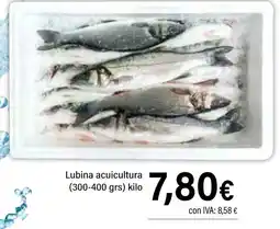 Cash Ifa Lubina acuicultura (300-400 grs) oferta