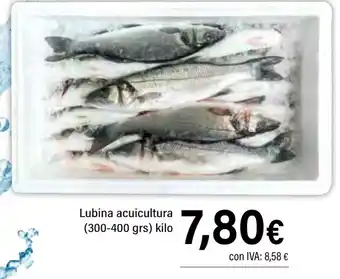 Cash Ifa Lubina acuicultura (300-400 grs) oferta