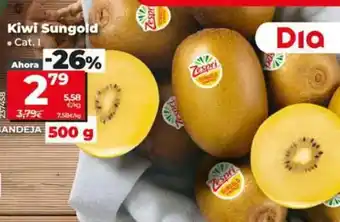 Dia Kiwi sungold bandeja 500 g oferta