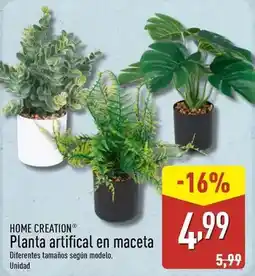 Masymas Pantene - champú oferta