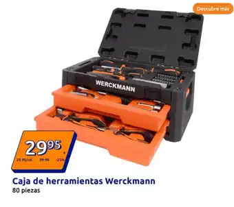 Action Caja de herramientas Werckmann 80 piezas oferta