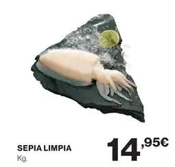 Supercor Sepia limpia oferta