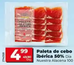 Dia Dia nuestra alacena - paleta de cebo ibérica 50% oferta