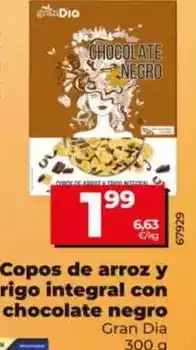 Dia Gran dia - copos de arroz y trigo integral con chocolate negro oferta