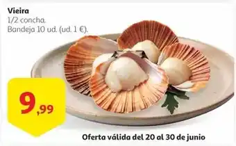 Alcampo Vieira oferta