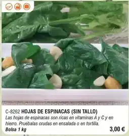 Abordo Hojas de espinacas oferta