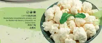 Abordo Solo - c317culflor oferta