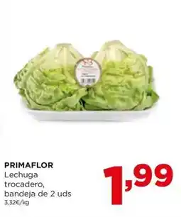 Alimerka Primaflor - lechuga trocadero oferta