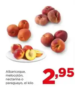 Alimerka Alimerka - albaricoque, melocoton, nectarina o paraguayo oferta