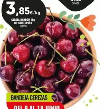 Family Cash Cereza bandeja 1kg origen espana oferta