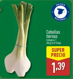 ALDI Cebollas tiernas oferta