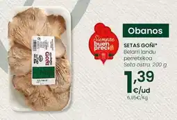 Eroski Seta ostra oferta