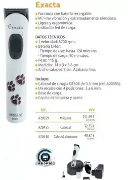 Setter Bakio Aescuap - exacta oferta