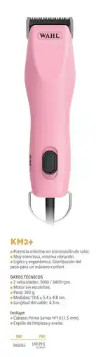 Setter Bakio Wahl - km2+ oferta