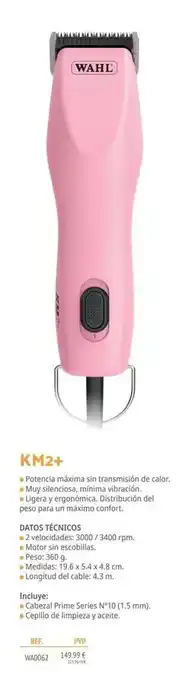 Setter Bakio Wahl - km2+ oferta