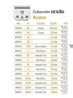 Setter Bakio Cabezales andis oferta