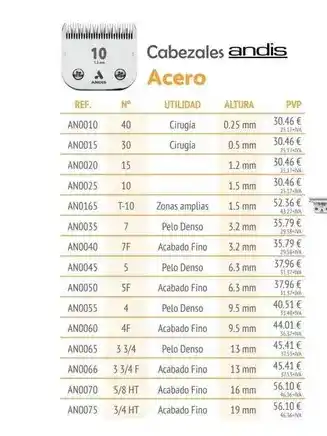 Setter Bakio Cabezales andis oferta