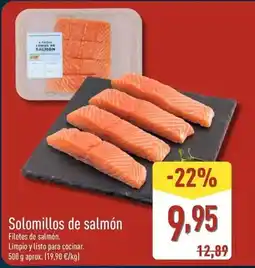 Setter Bakio Diamante 0.7 a 3 mm oferta