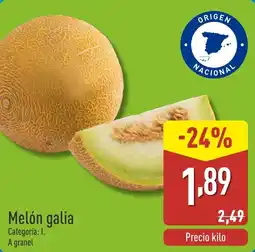 ALDI Melón galia oferta