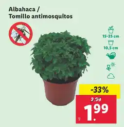Lidl Albahaca/ Tomillo antimosquitos oferta