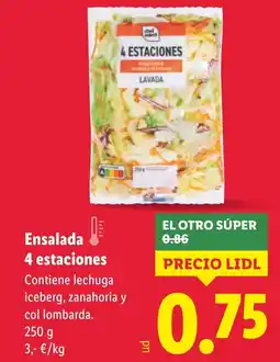 Lidl Ensalada 4 estaciones oferta
