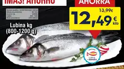FROIZ España - lubina oferta