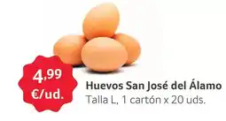 GM Cash & Carry Huevos san josé del alamo oferta