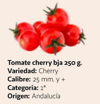 Alcampo Tomate cherry oferta