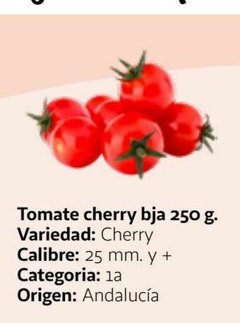 Alcampo Tomate cherry oferta